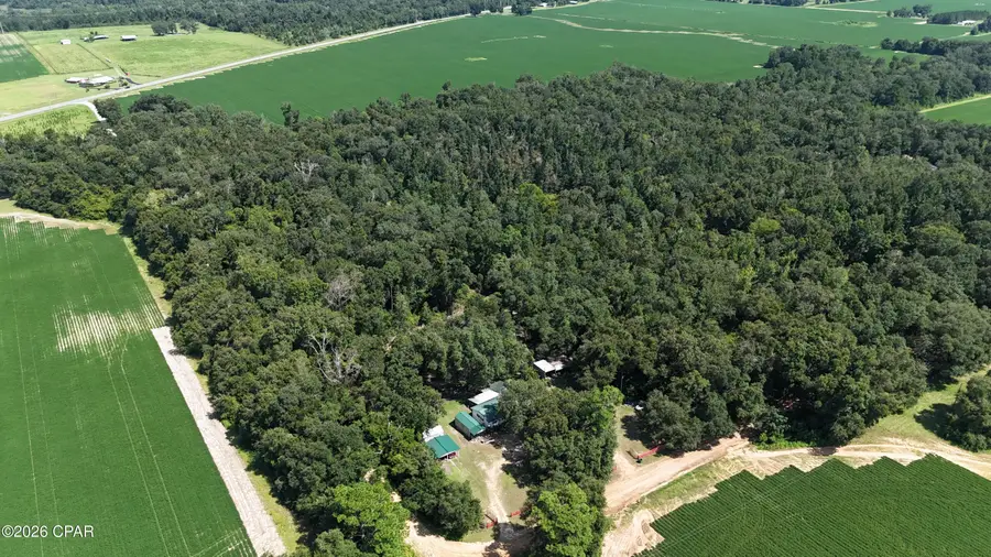 00 Conner Road, Grand Ridge, FL 32442 - #2