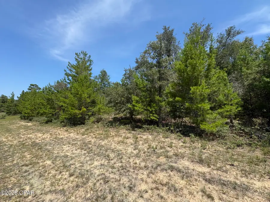 LOT 2 Fairchild Court, Chipley, FL 32428 - #3