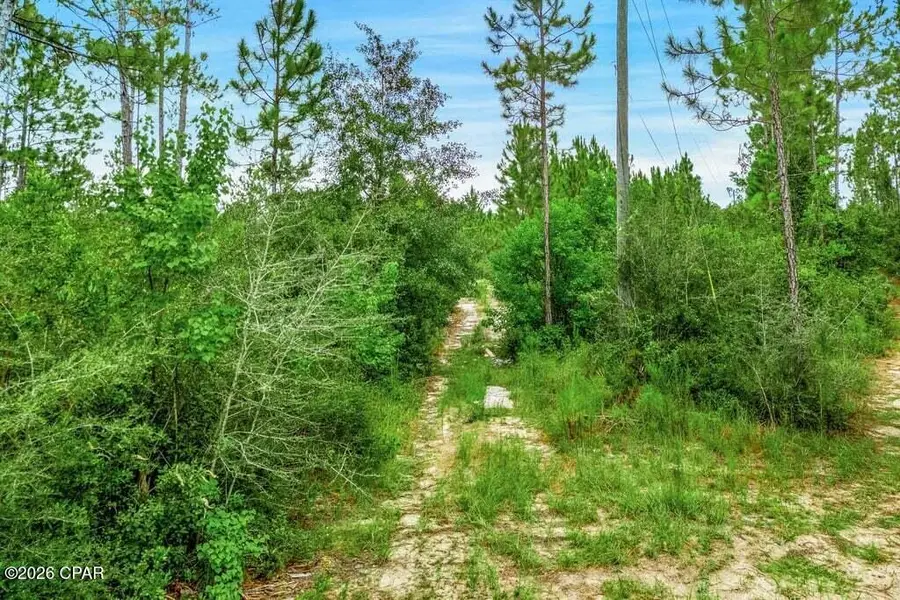 17012 Aawsaw Lane, Fountain, FL 32438 - #2