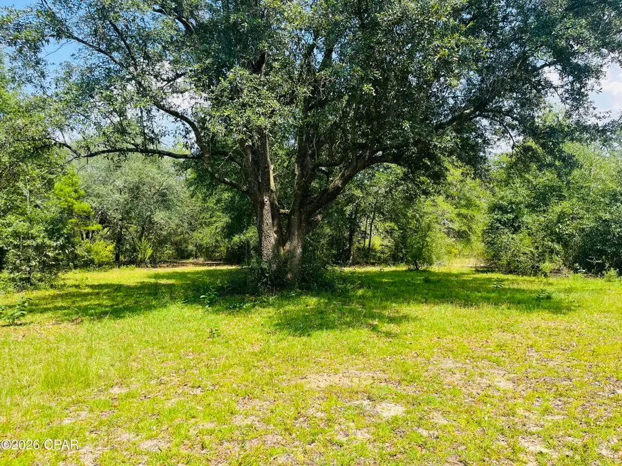 2180 Crovetti Way, Alford, FL 32420 - #3