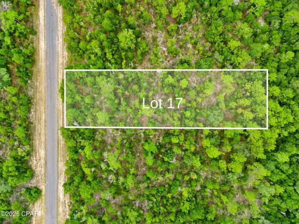 0 Firwood Avenue #Lot 17, Chipley, FL 32428