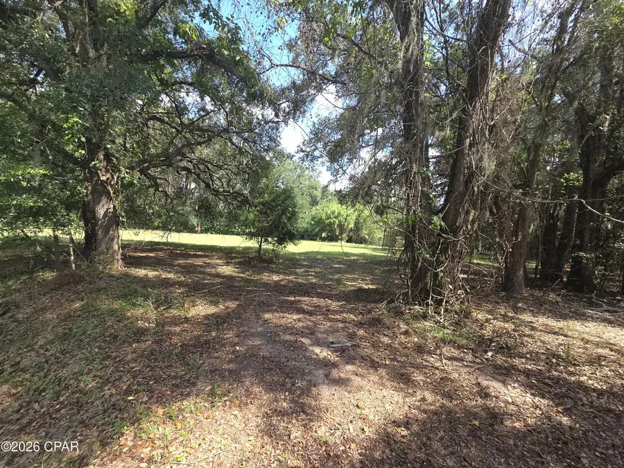 XXX Live Oak Lane, Blountstown, FL 32424 - #2
