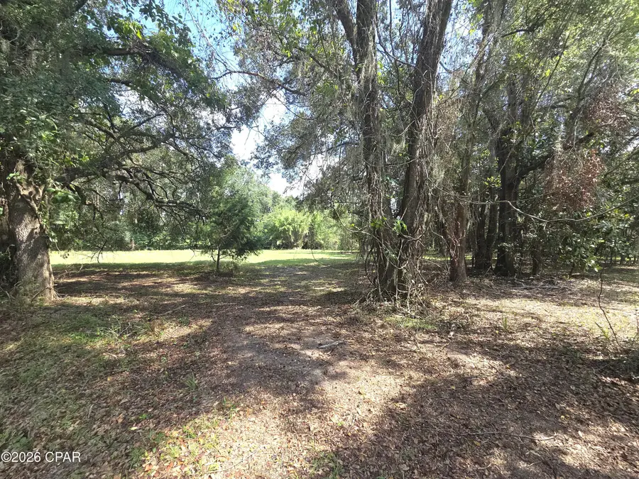 XXX Live Oak Lane, Blountstown, FL 32424 - #3