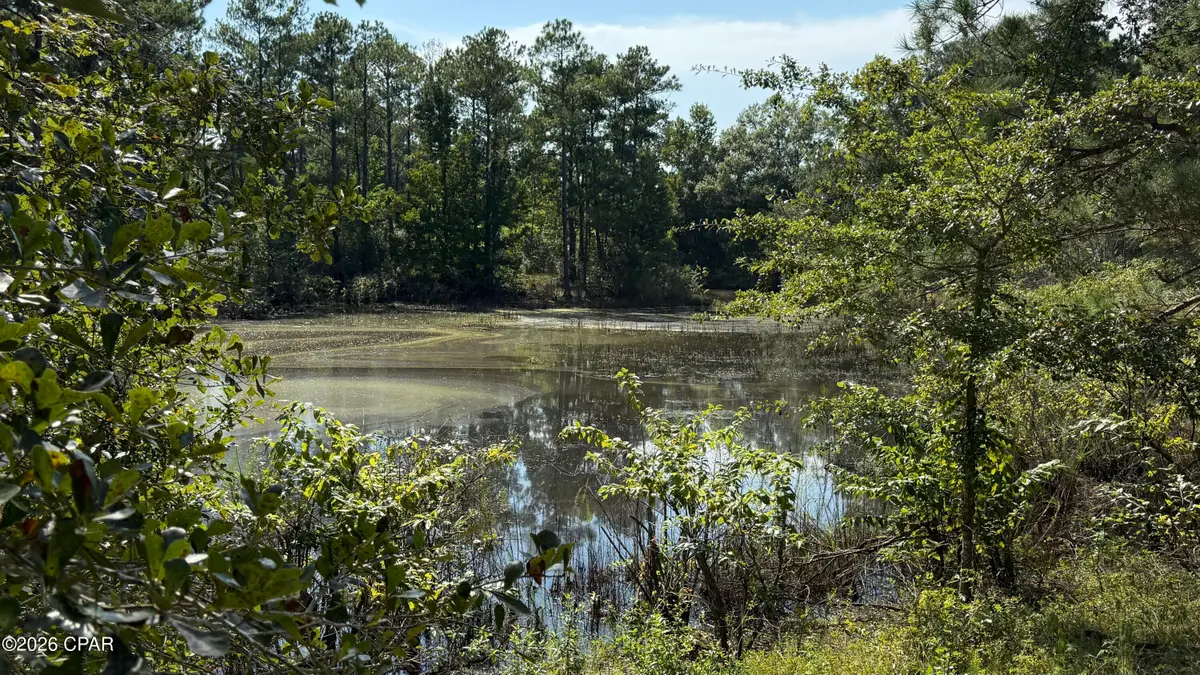 5110 Highway 273, Campbellton, FL 32426 - #1