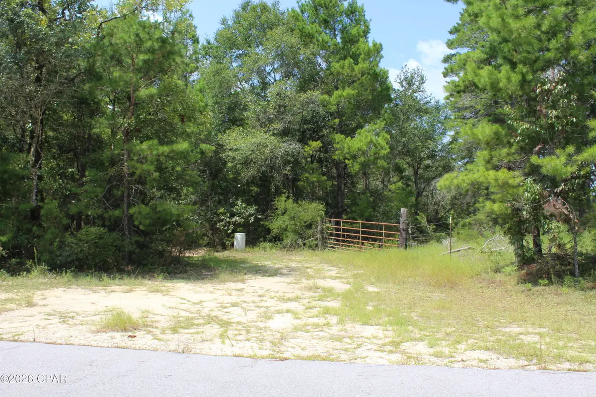 TBD New Jerusalem Road, Vernon, FL 32462 - #1