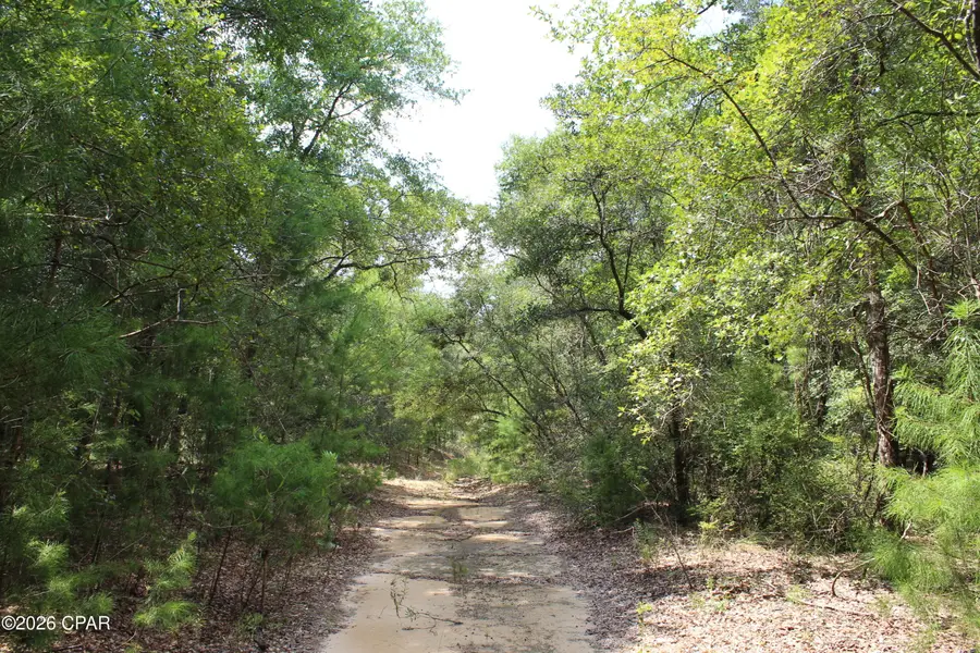 TBD New Jerusalem Road, Vernon, FL 32462 - #2