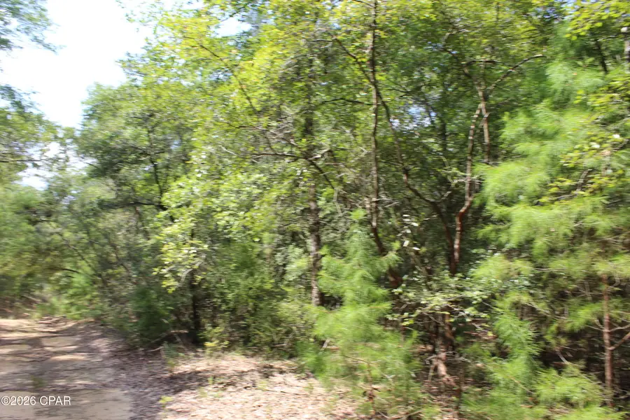TBD New Jerusalem Road, Vernon, FL 32462 - #3