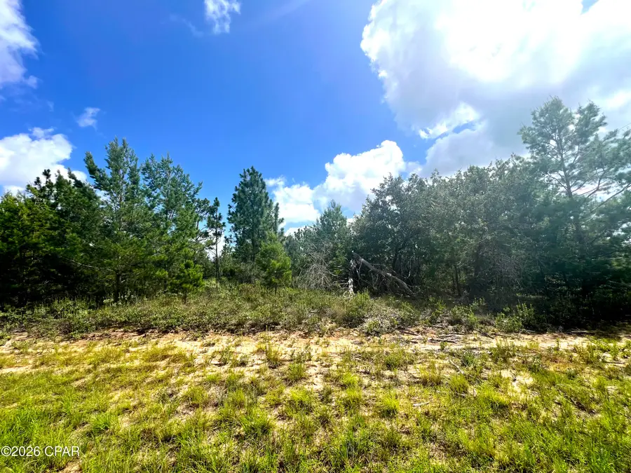 Lot 1 Fairbanks Drive, Chipley, FL 32428 - #2
