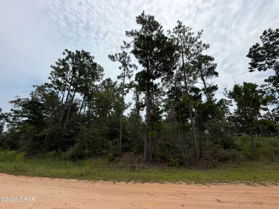 Lot 12 Postpile Circle, Alford, FL 32420 - #2