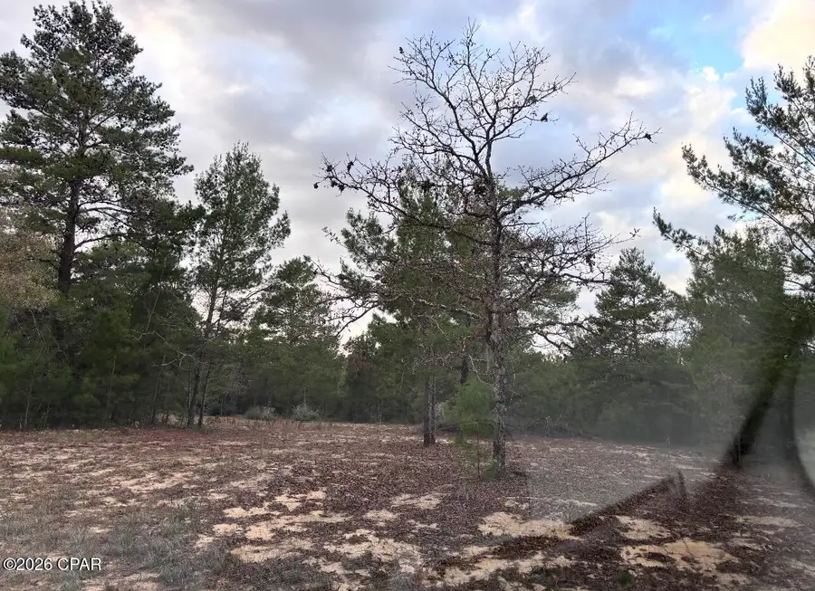 0 Fairhaven Lot 9 Drive, Chipley, FL 32428 - #3