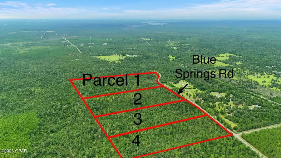 010 Blue Springs Road #Parcel 2, Youngstown, FL 32466 - #2