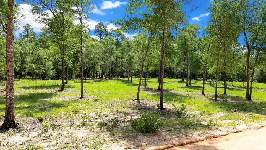 0 N Silver Lake Lane, Marianna, FL 32448 - #2