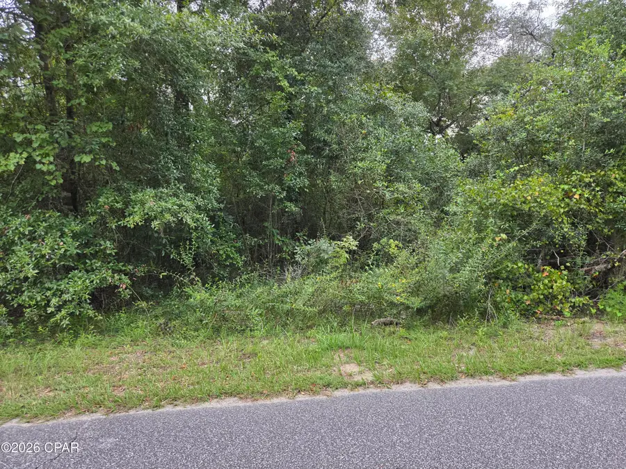 0000 Quail Ridge Drive, Chipley, FL 32428 - #3