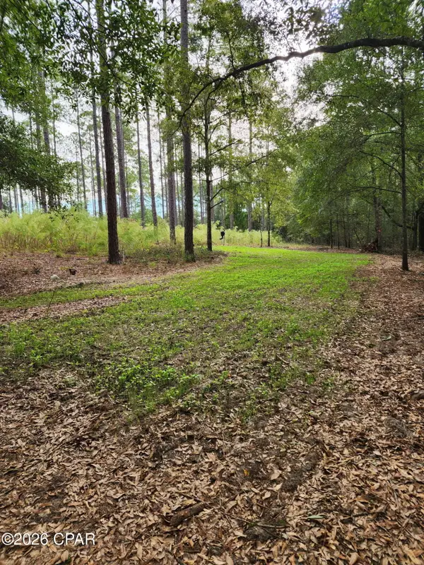 1745 Turkey Oak Trail, Bonifay, FL 32425