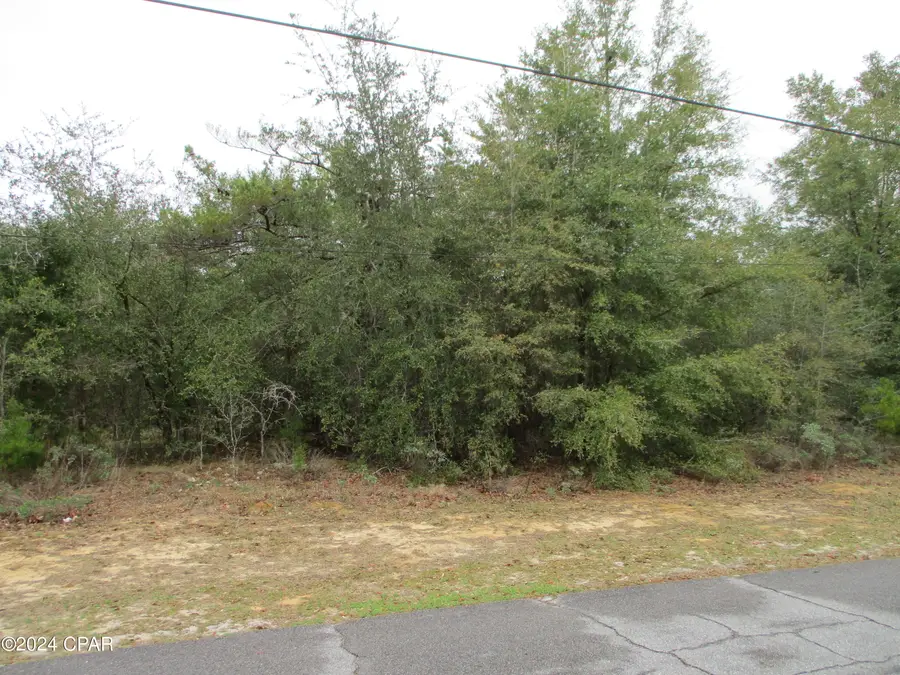 Lot 25 Linwood Drive, Chipley, FL 32428 - #2