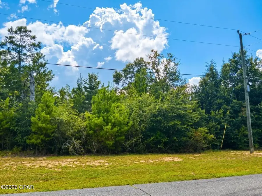 Lot 52 Shenandoah Boulevard, Chipley, FL 32428 - #2