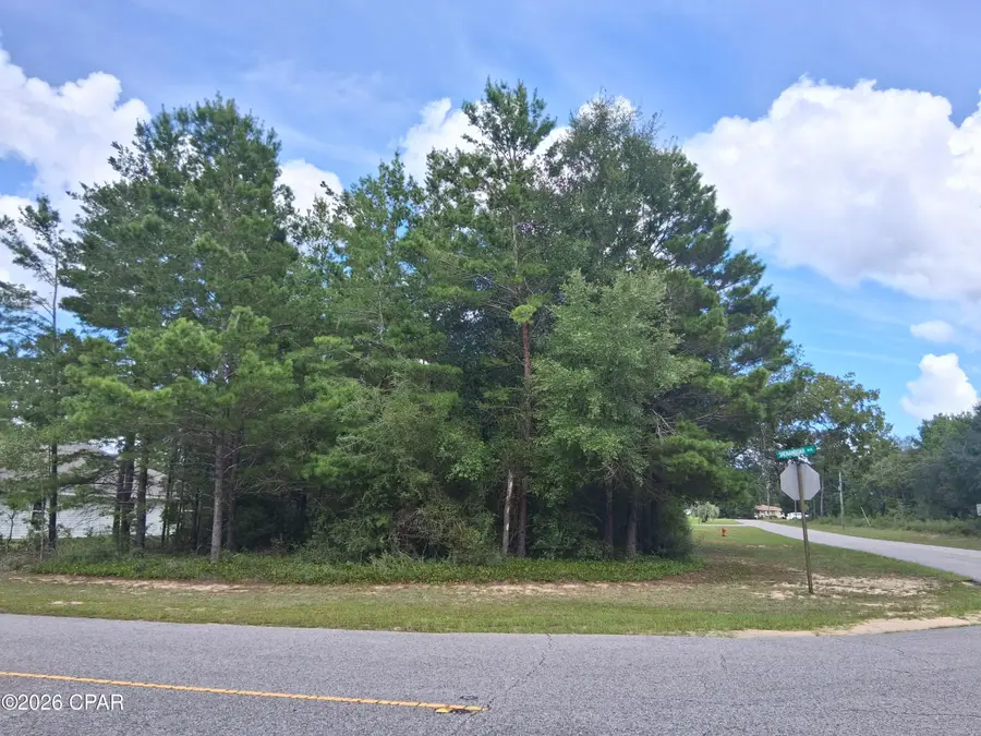 Lot 10 Baldwin Street, Chipley, FL 32428 - #2