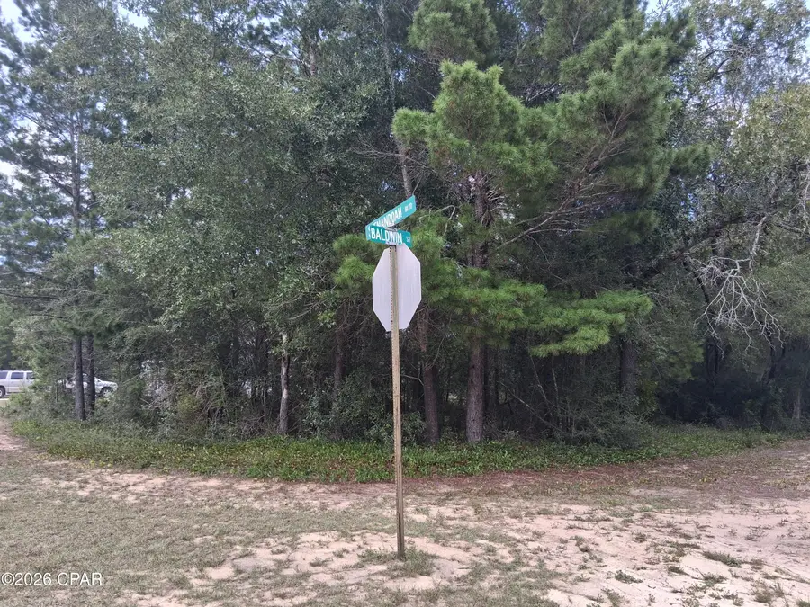 Lot 10 Baldwin Street, Chipley, FL 32428 - #3