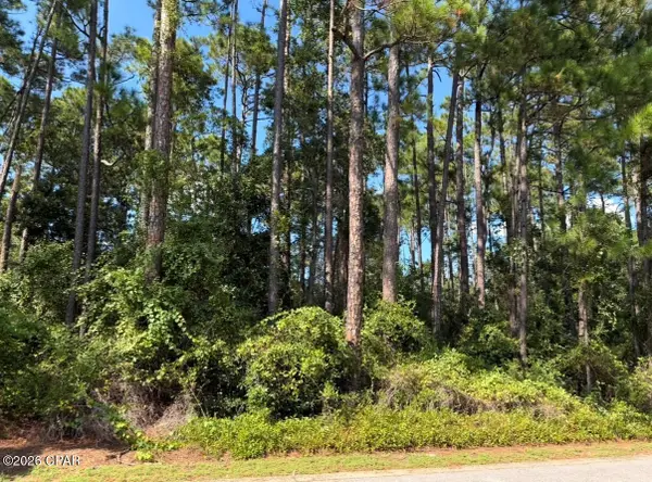 Lot 2 Cox Road, Santa Rosa Beach, FL 32459