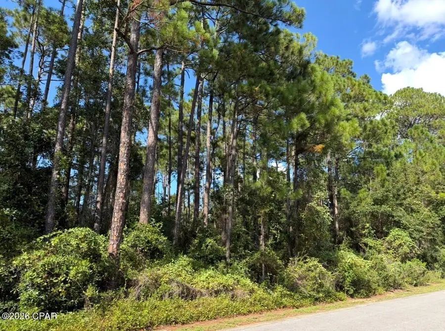 Lot 2 Cox Road, Santa Rosa Beach, FL 32459 - #2