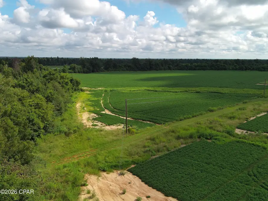 0 Pittman Hill Road, Marianna, FL 32448 - #3