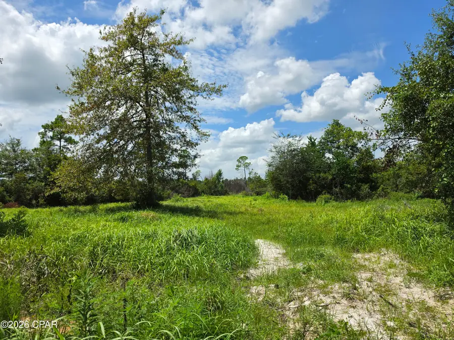 0000 Alex Drive, Fountain, FL 32438 - #3
