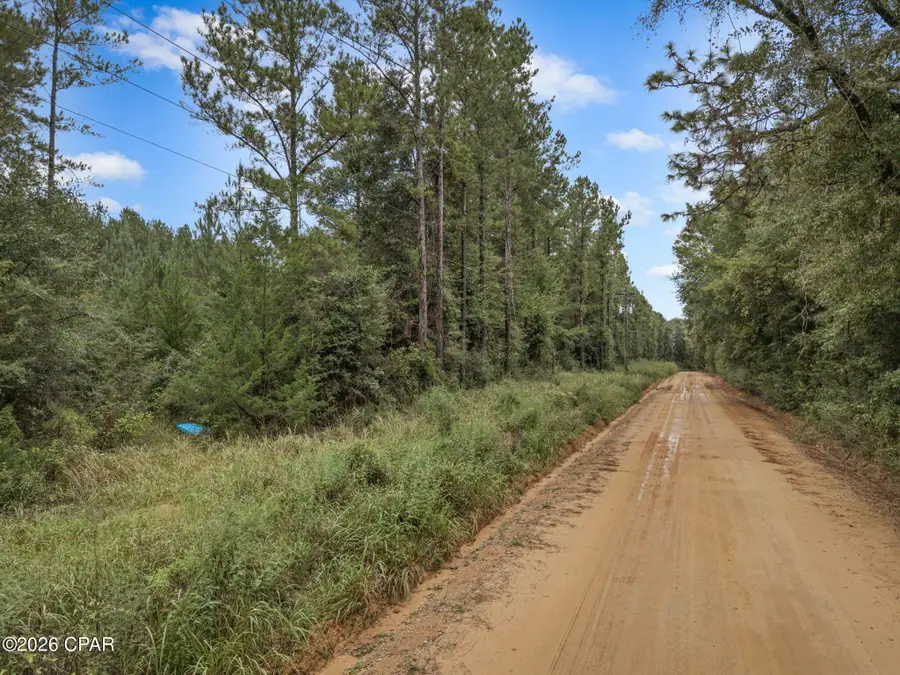 XXX Lakeview Road, Caryville, FL 32427 - #2