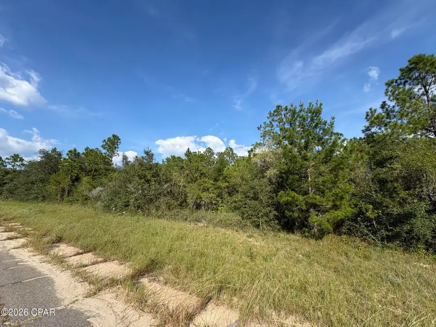 LOT 31 Goodman Hill Road, Chipley, FL 32428 - #2