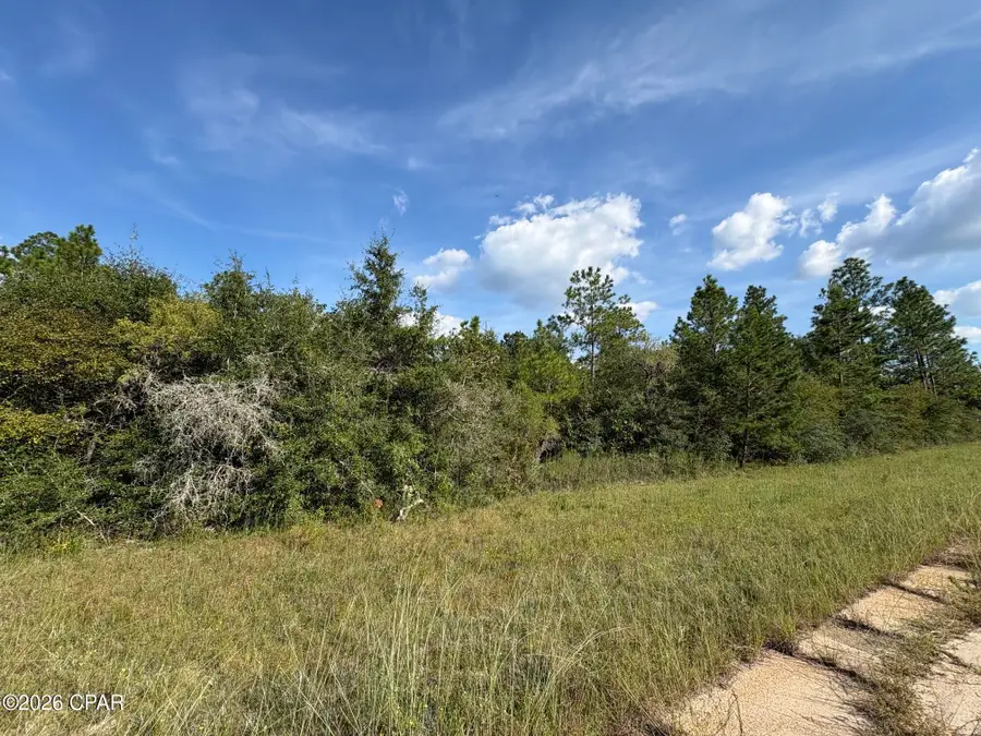 LOT 31 Goodman Hill Road, Chipley, FL 32428 - #3