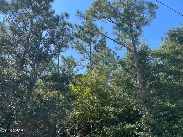 0000 Crossvine Court, Chipley, FL 32428