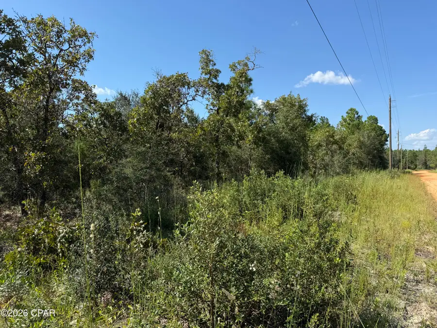 0000 Crossvine Court, Chipley, FL 32428 - #2