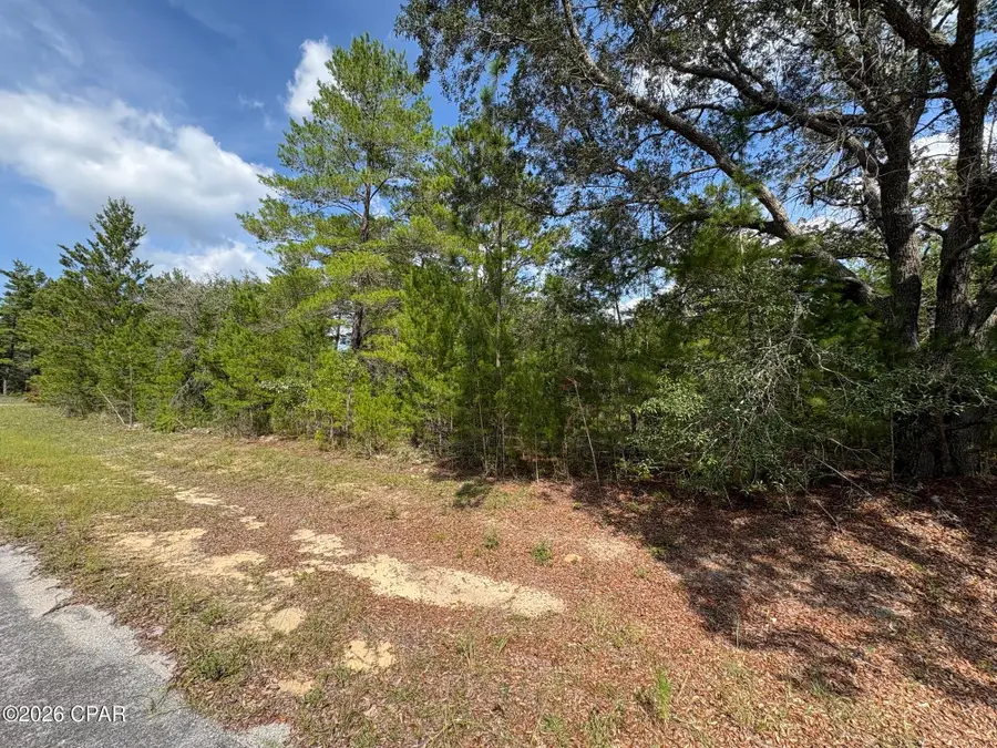 LOT 10 Norwood Avenue, Chipley, FL 32428 - #2