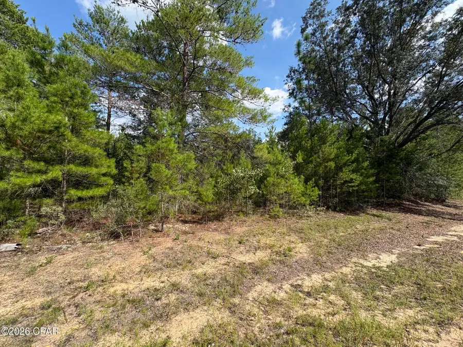 LOT 10 Norwood Avenue, Chipley, FL 32428 - #3