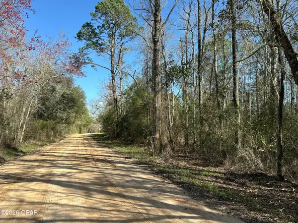 Tract#6317 N Harris Stevenson Road, Bonifay, FL 32425