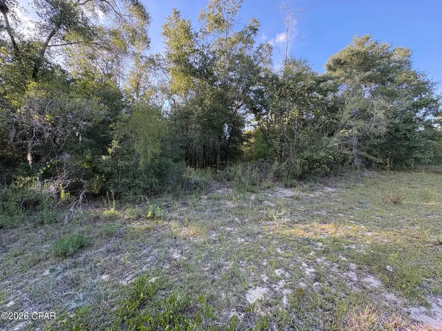 LOT 16 Channing Drive, Chipley, FL 32428 - #3