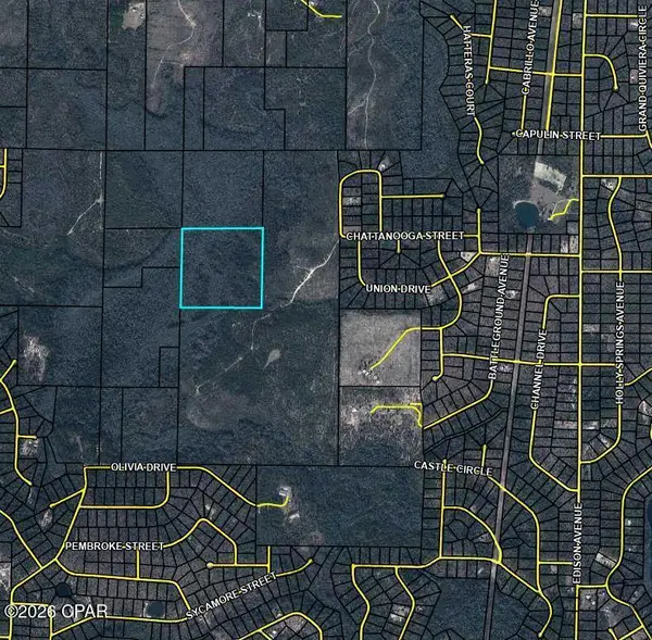 TBD Olivia Dr, Marianna, FL 32448