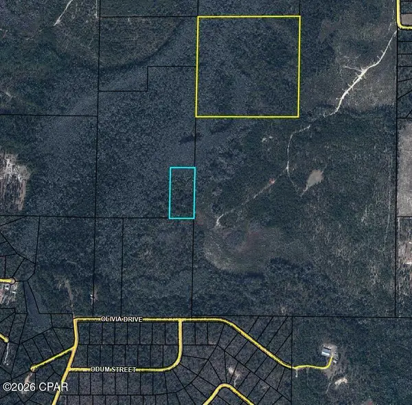 TBD Olivia Drive, Marianna, FL 32448