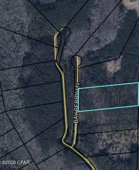 TBD Bay Berry Lane, Westville, FL 32464