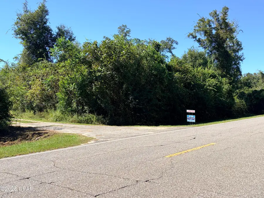 0 Blue Springs Road, Greenwood, FL 32443 - #2