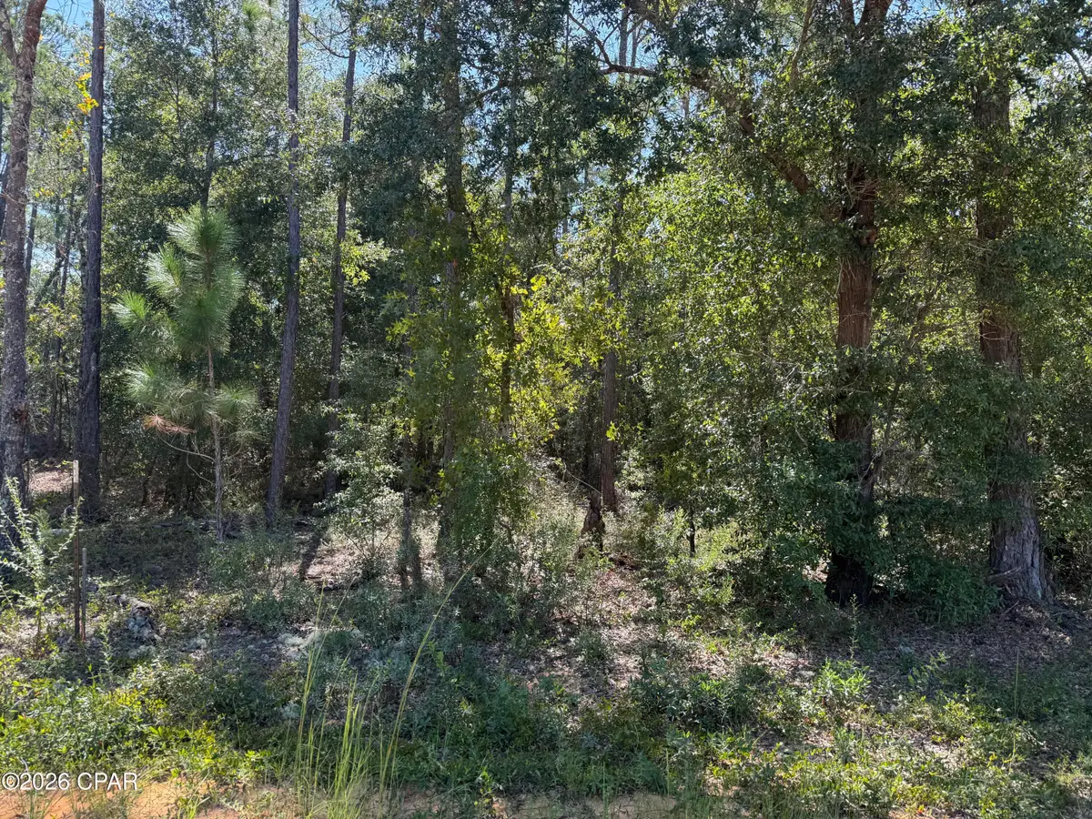 0 Abraham Street, Alford, FL 32420 - #1