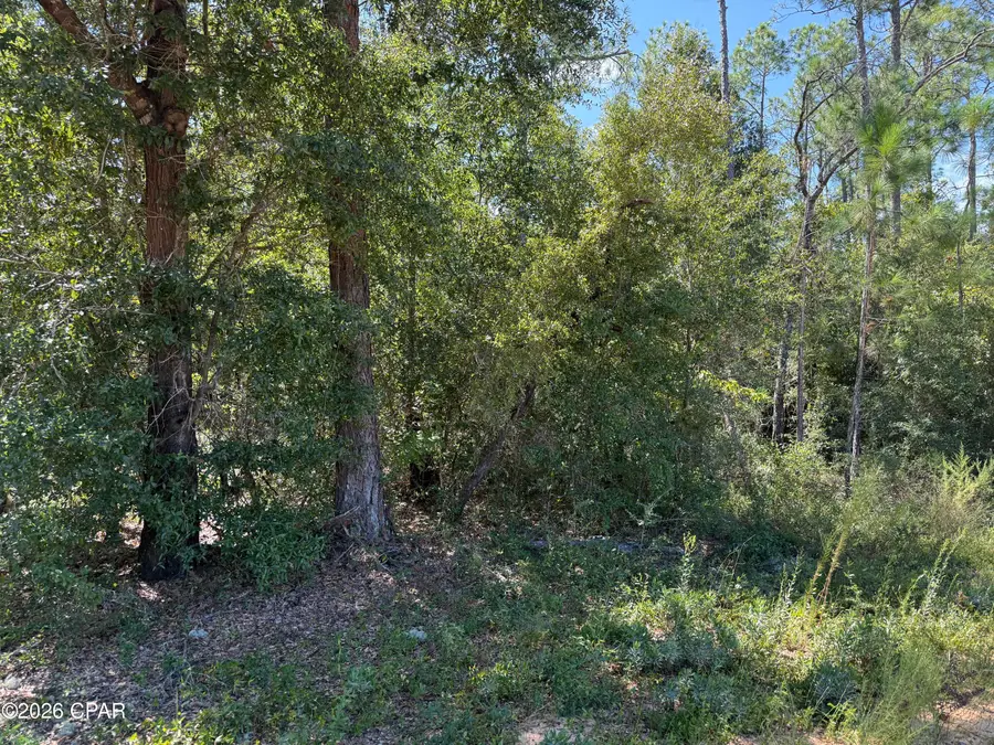 0 Abraham Street, Alford, FL 32420 - #2