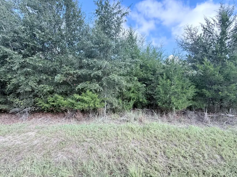 5768 Neals Landing Road, Bascom, FL 32423 - #2