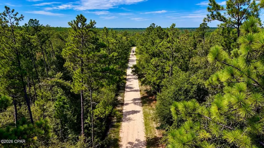 00 Pitts Rd Road, Fountain, FL 32438 - #2