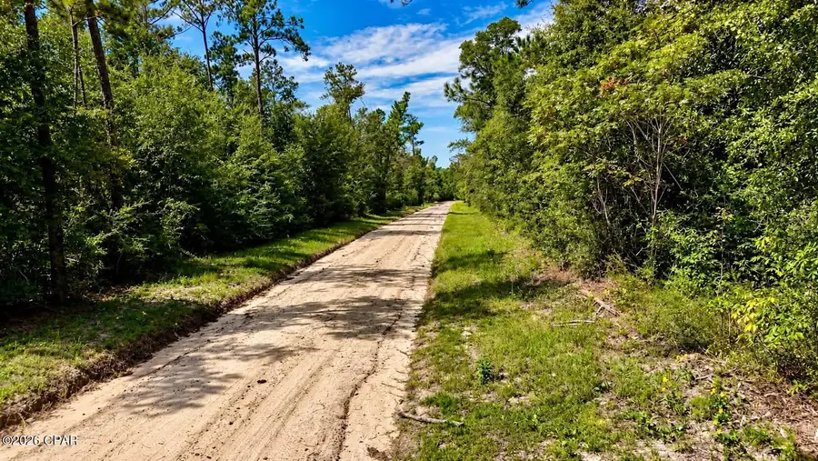 00 Pitts Rd Road, Fountain, FL 32438 - #3