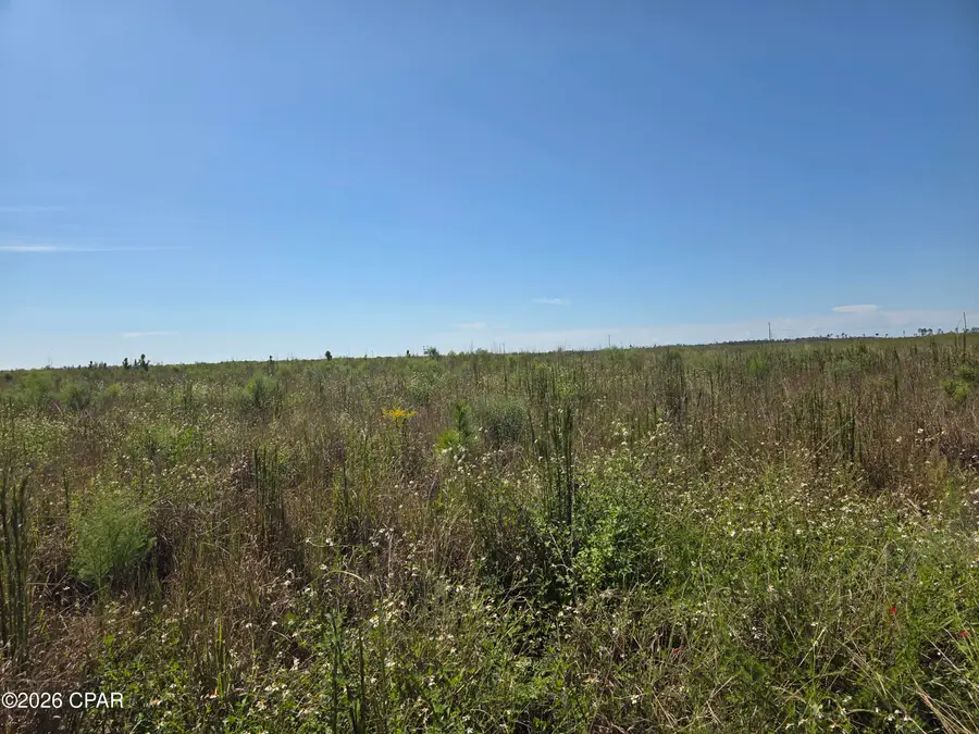 xxx SE Oak Grove Road, Kinard, FL 32449 - #2