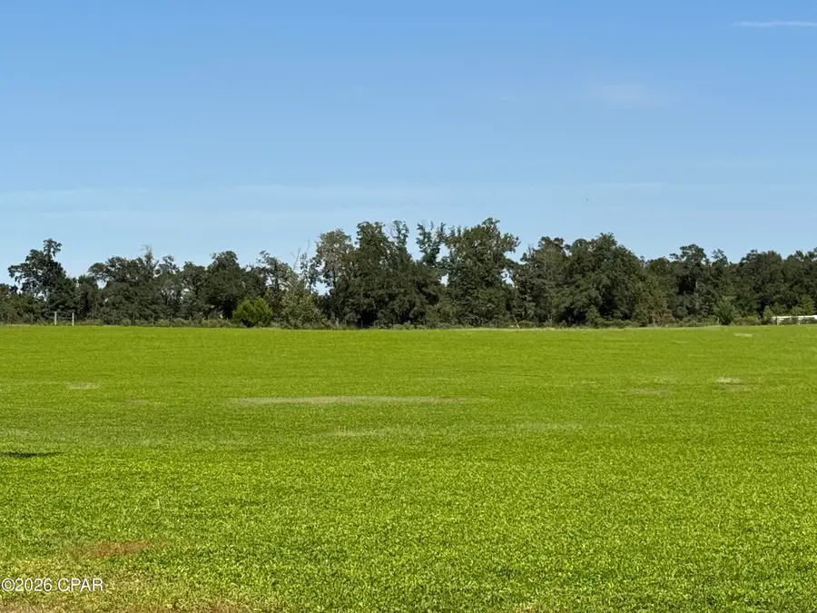 0 Dellwood Cypress Road, Grand Ridge, FL 32442 - #2