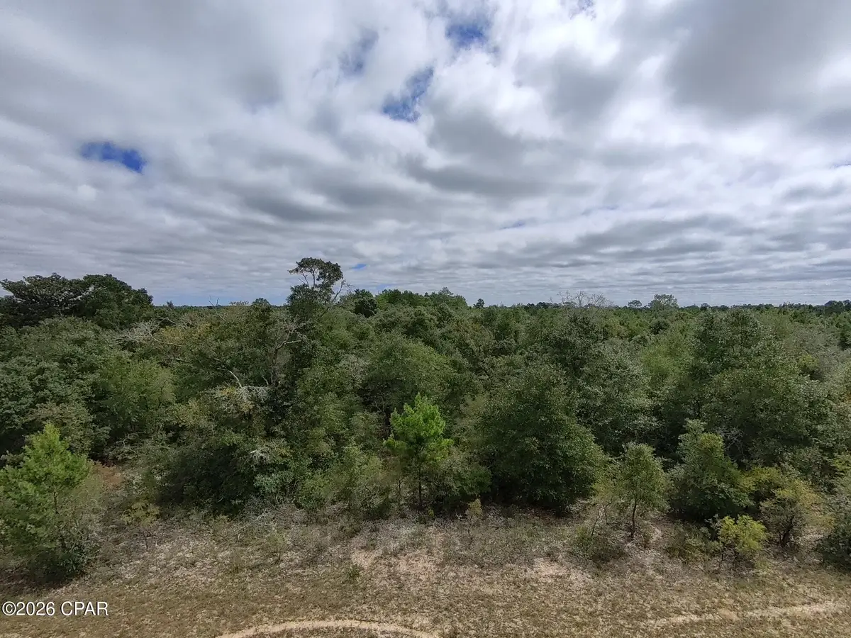 LOT 2 Deltona Boulevard, Chipley, FL 32428 - #1