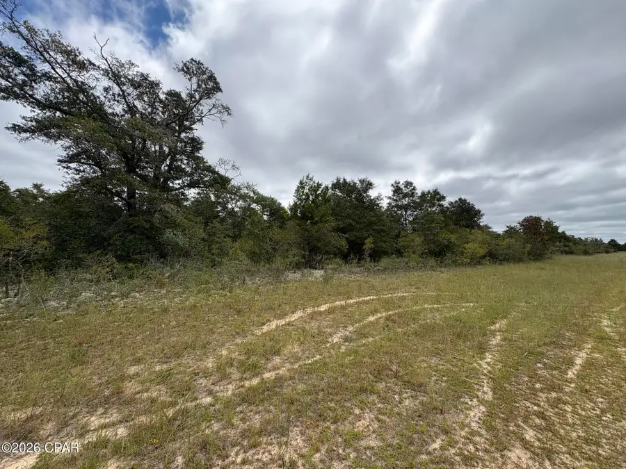 LOT 2 Deltona Boulevard, Chipley, FL 32428 - #3