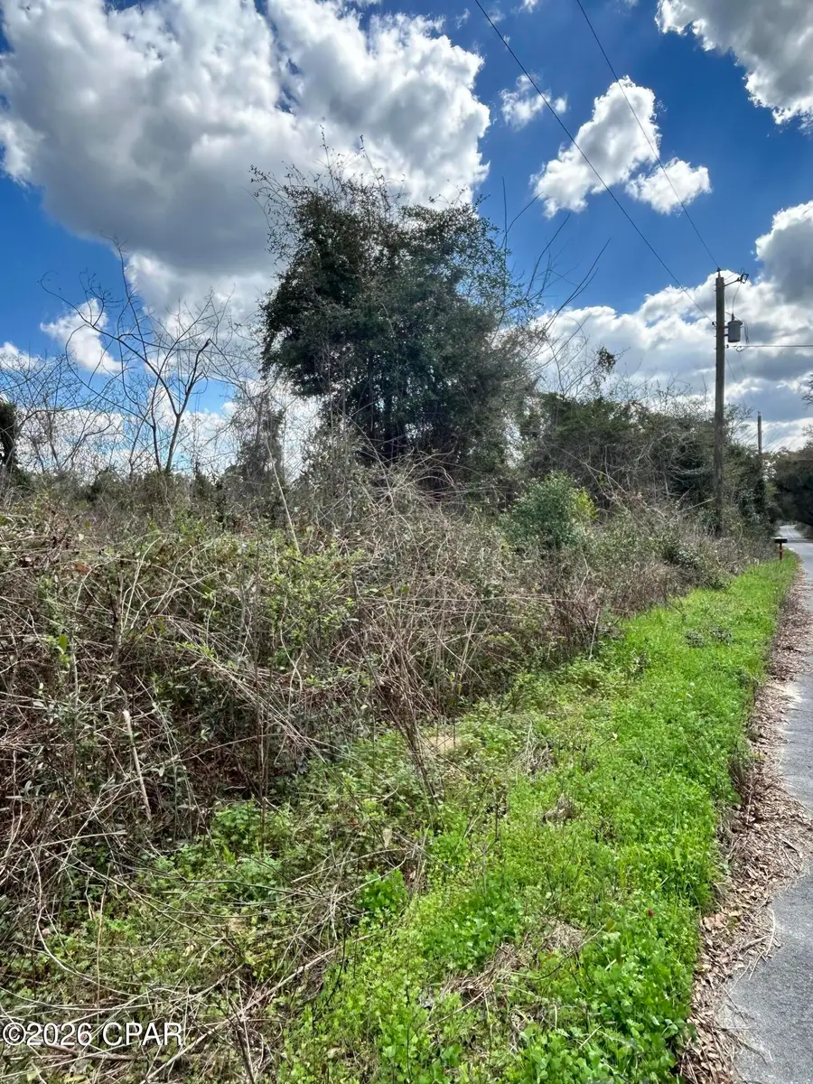 0 London Road, Cottondale, FL 32431 - #2