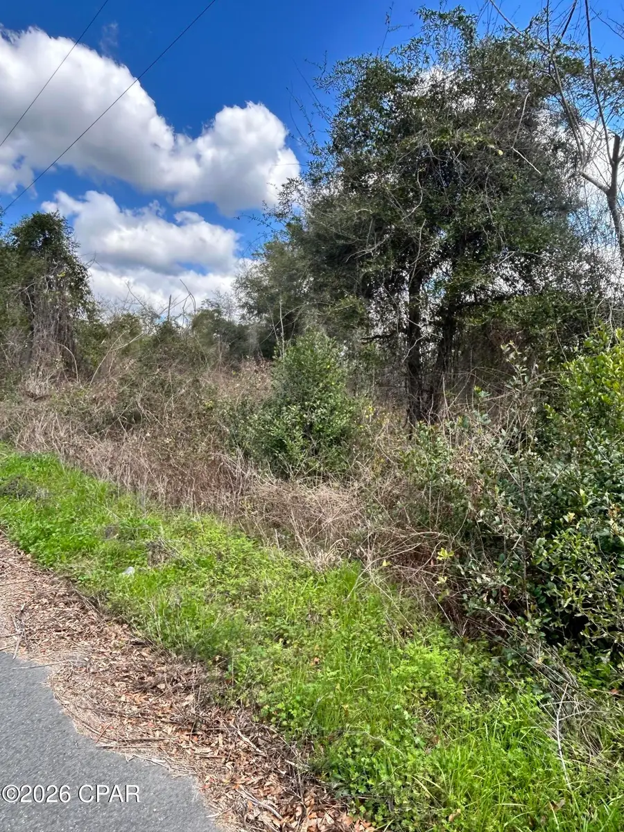 0 London Road, Cottondale, FL 32431 - #3